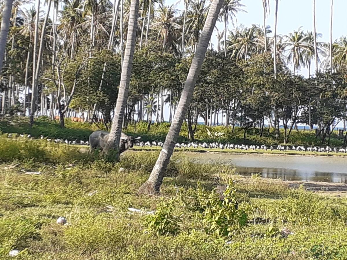 Lanta Daisy Residence Koh Lanta Luaran gambar
